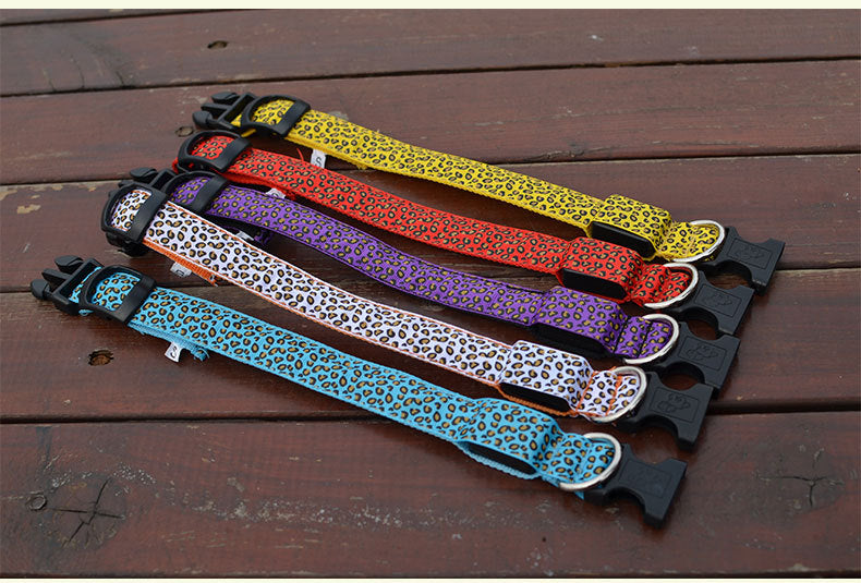 Collar LED luminoso para perros - Visibilidad nocturna