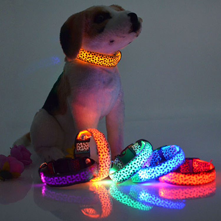 Collar LED luminoso para perros - Visibilidad nocturna