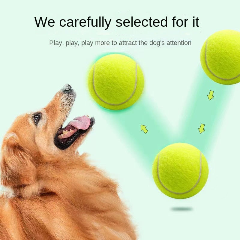 Pelota de tenis elástica para perros pequeños y medianos