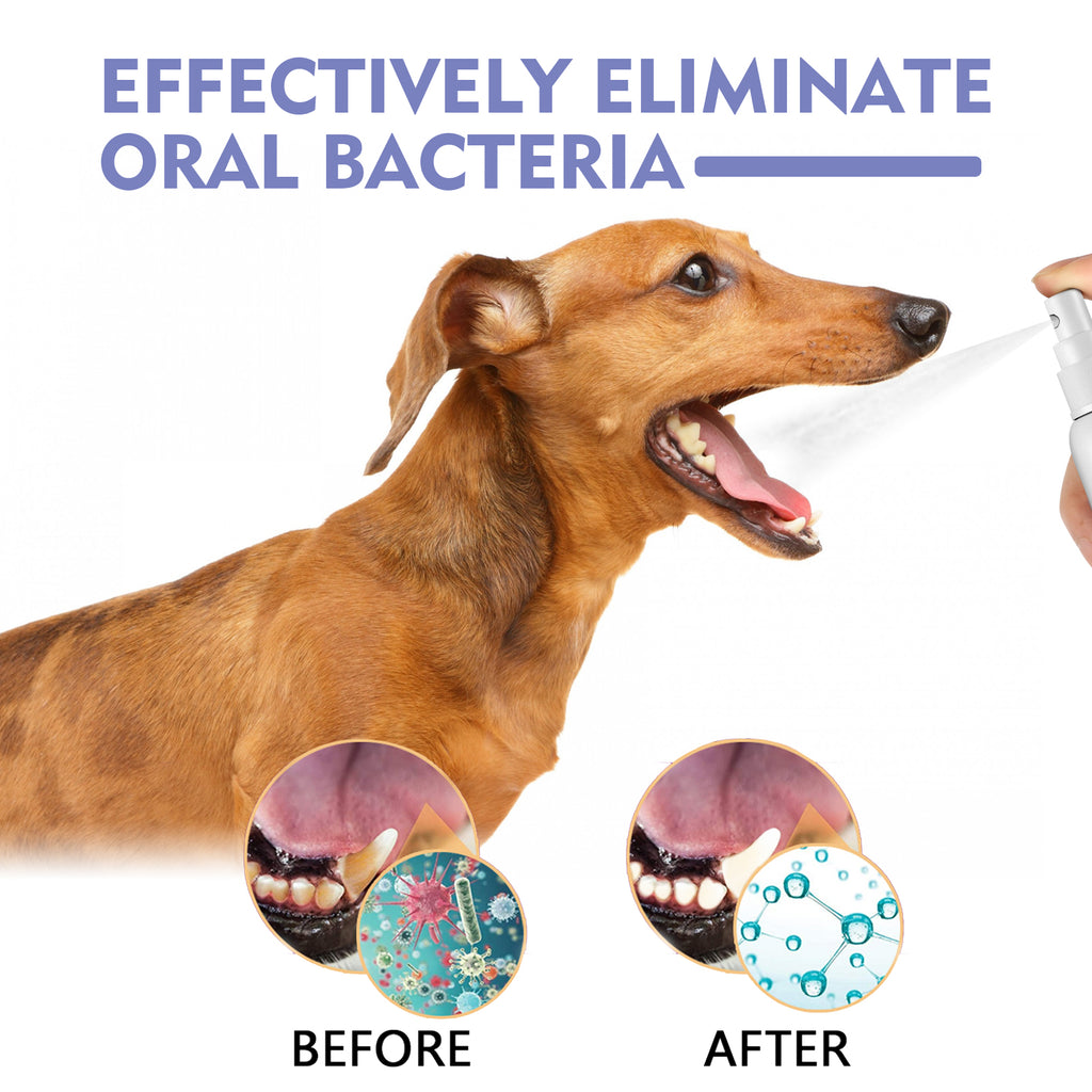 Spray dental para perros y gatos - Higiene bucal sin cepillado
