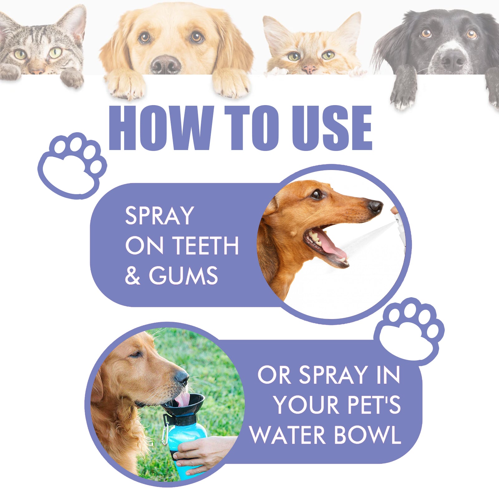 Spray dental para perros y gatos - Higiene bucal sin cepillado