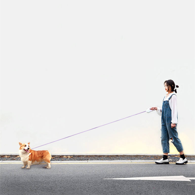 Correa retráctil con luz LED para perros – Seguridad y visibilidad en paseos nocturnos