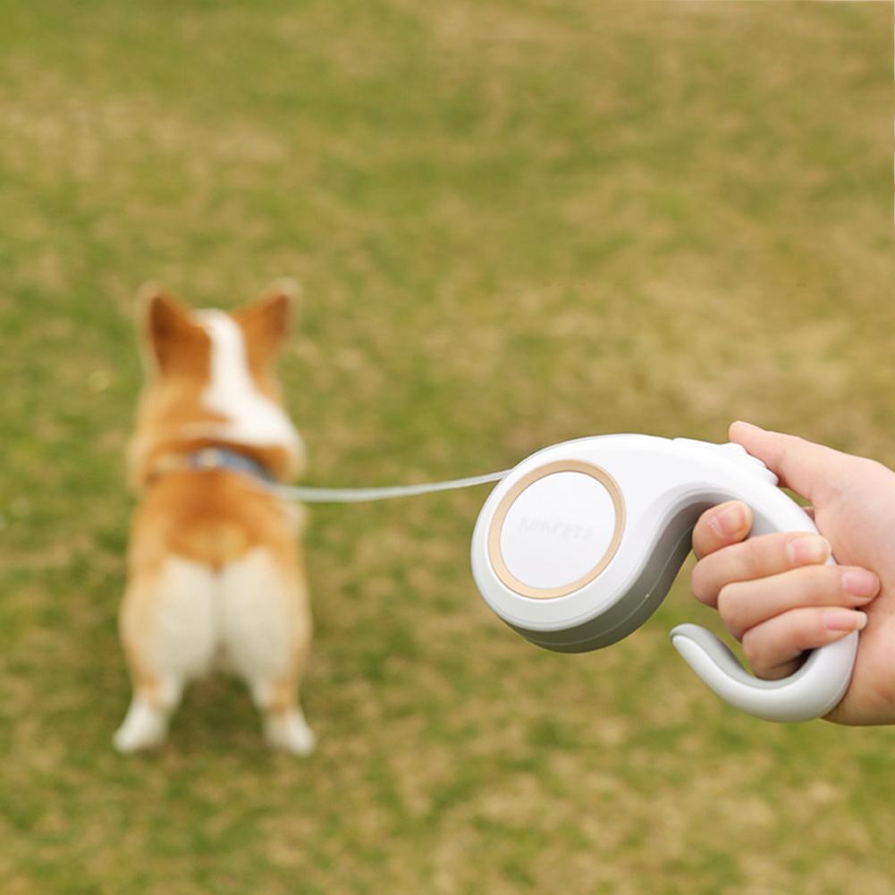 Correa retráctil automática de 3 m para perros y gatos