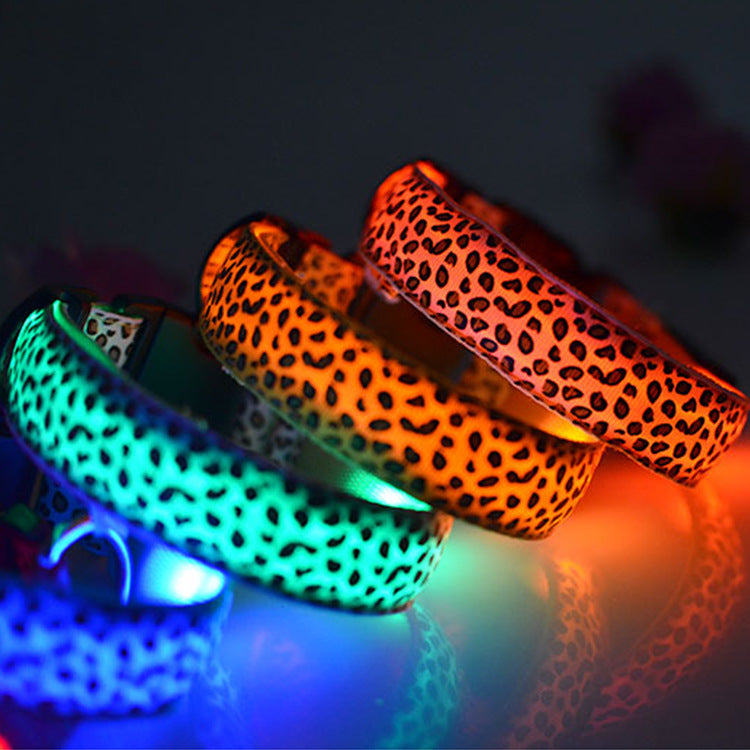 Collar LED luminoso para perros - Visibilidad nocturna