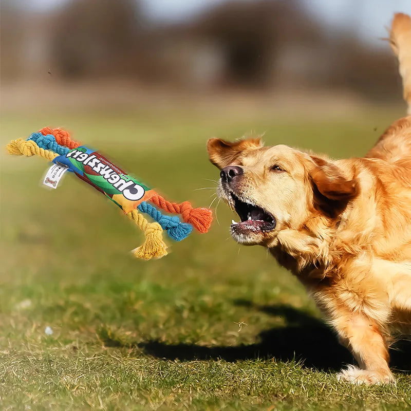 Cuerda de Algodón Multicolor para Perros | Juguete Morder y Limpiar Dientes