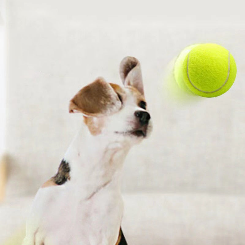 Pelota de tenis elástica para perros pequeños y medianos