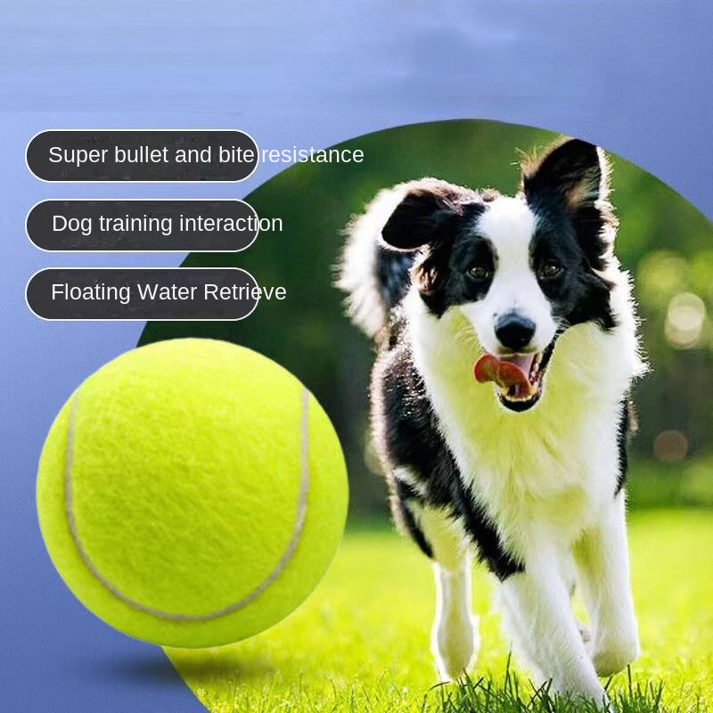 Pelota de tenis elástica para perros pequeños y medianos